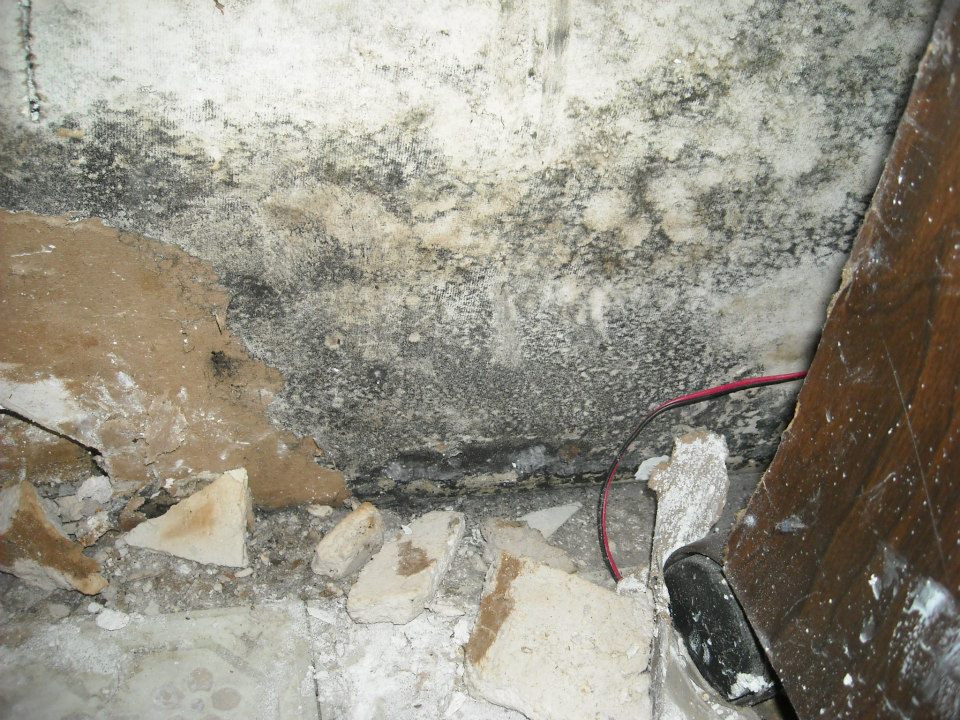Restorative Pros team on a restoration job site
