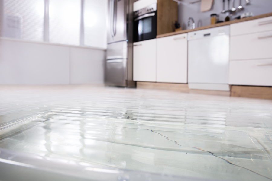 Damage restoration and remediation work