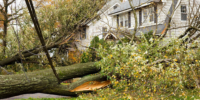 Address Storm Damage Before it Causes Bigger Problems
