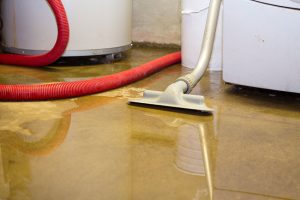 The Importance of Prompt Water Removal